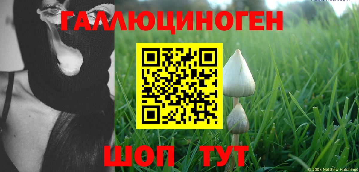 наркотики  Вход с VPN  Ишимбай  Псилоцибиновые грибы MAGIC MUSHROOMS 